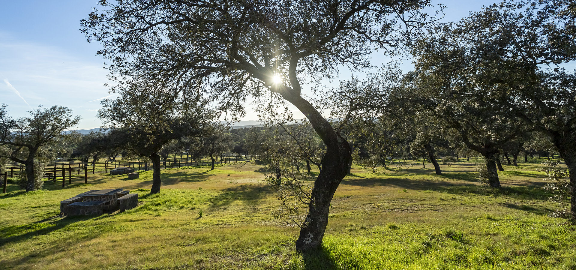 hogueras 57 hogueras 57