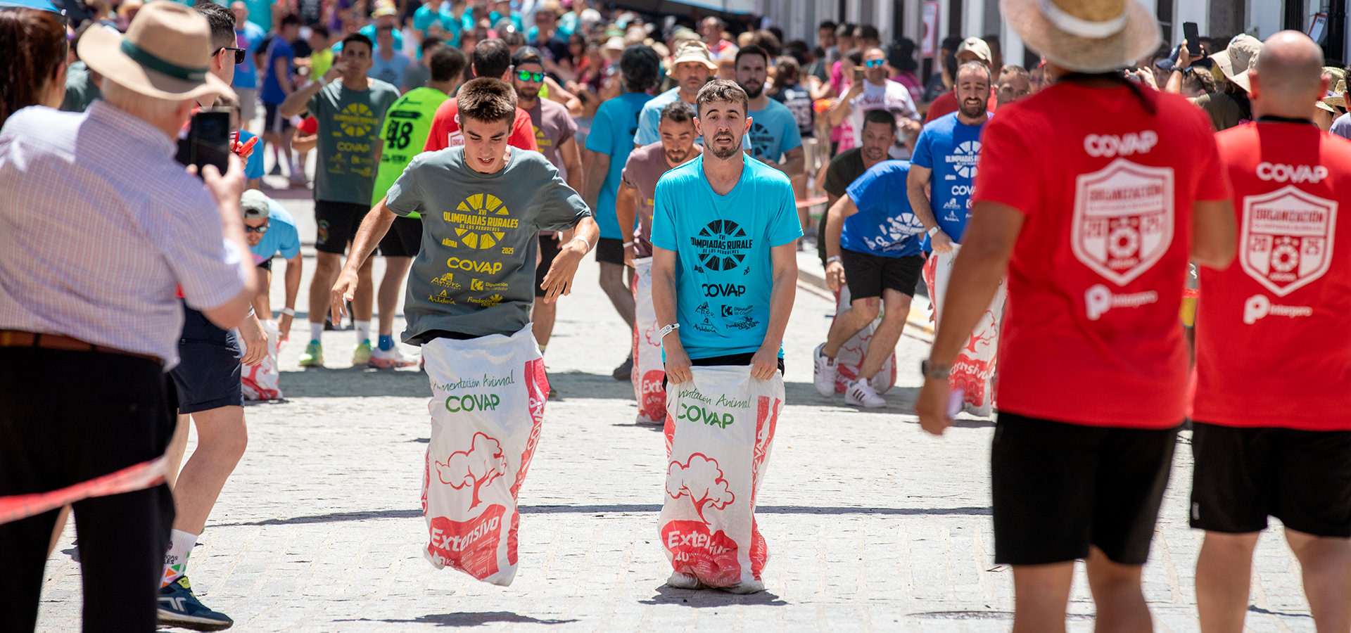 portada web añora portada web añora