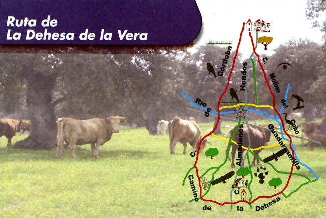 ruta dehesa