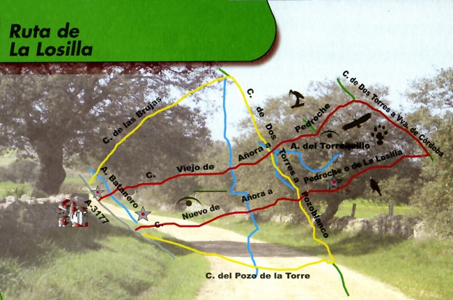 ruta losilla