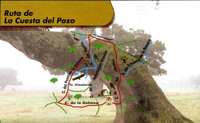 ruta pozo