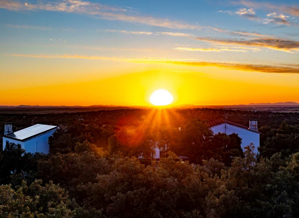 Nuestra dehesa dehesa 14