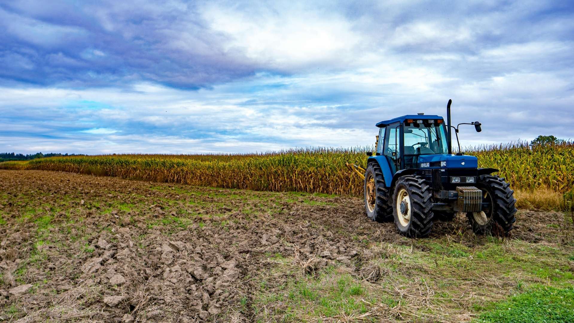 diseño sin título (7)